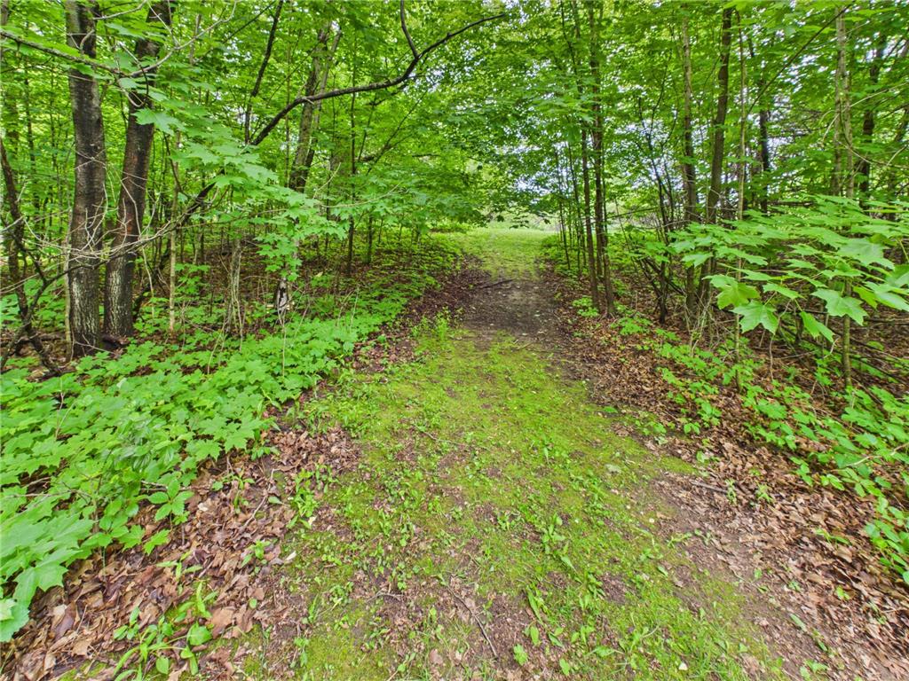 4498 Avery Road Burtrum MN 56318 7083856 image55