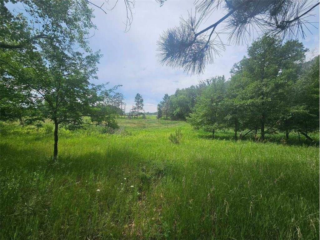 44985 400th Avenue Edna Twp MN 56573 7029229 image11