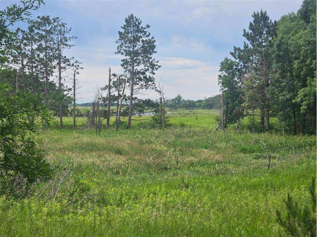 44985 400th Avenue Edna Twp MN 56573 7029229 image9