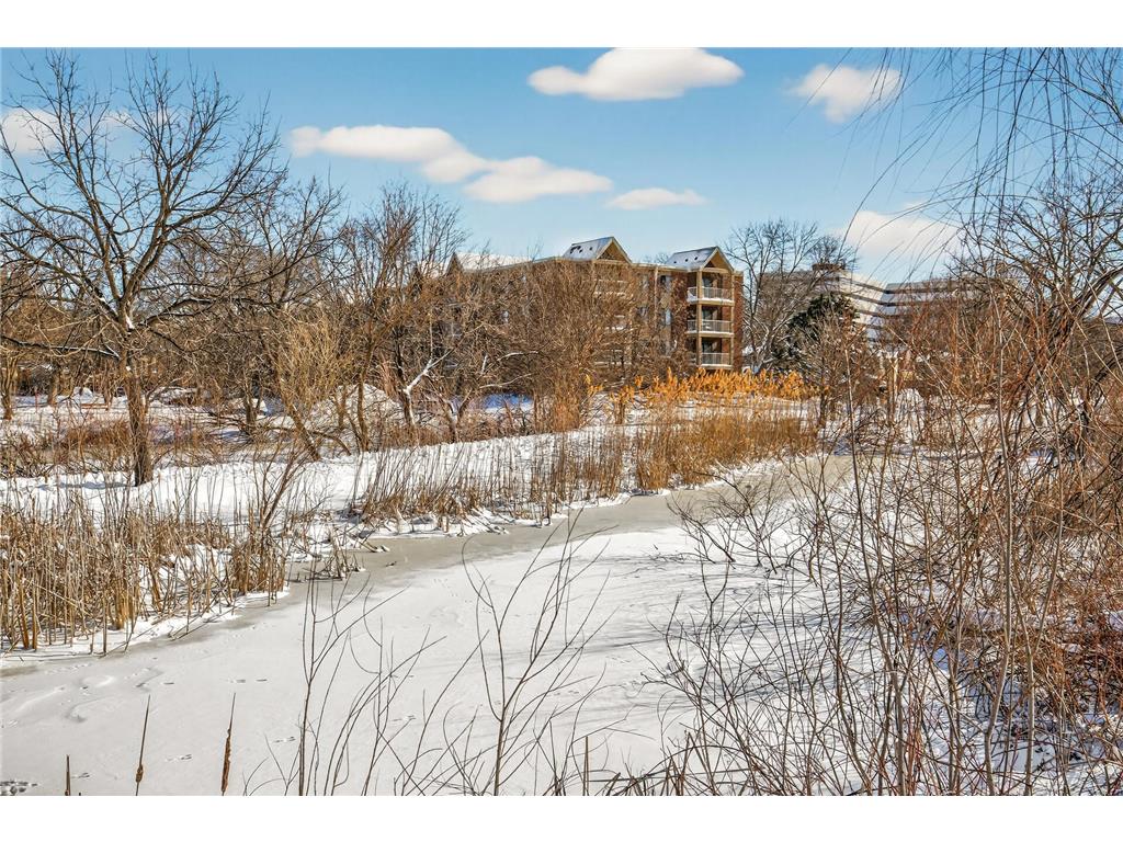 450 Ford Road #313 Saint Louis Park MN 55426 7035931 image29