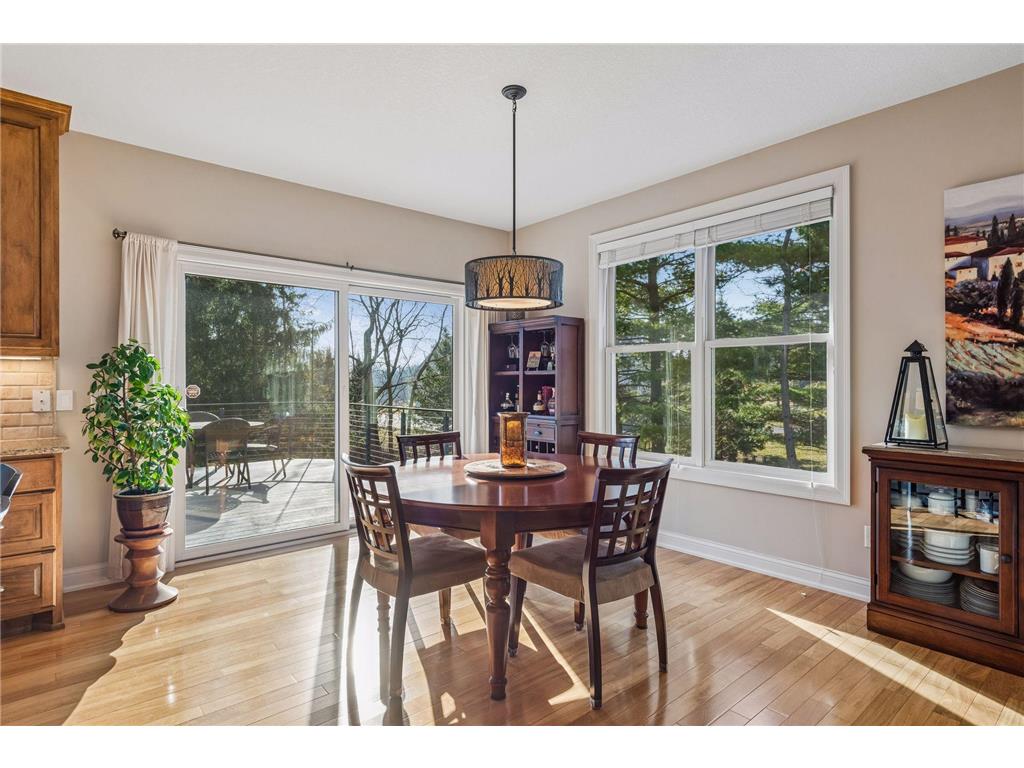 450 Willow Drive S Orono MN 55356 7039642 image28