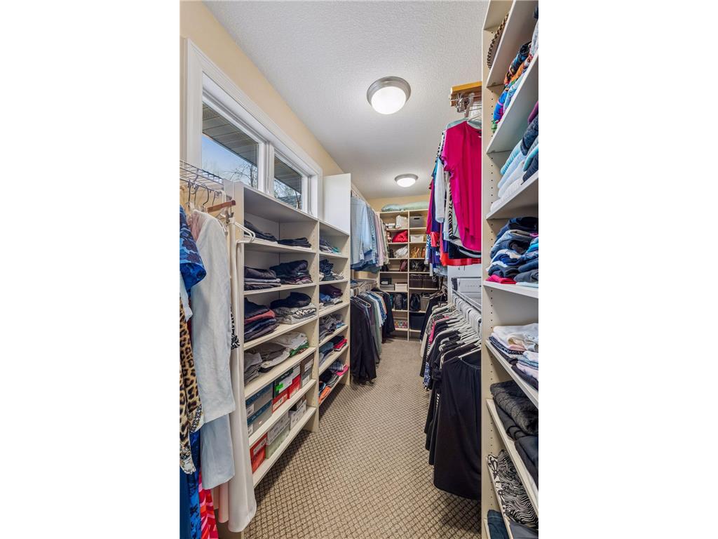 450 Willow Drive S Orono MN 55356 7039642 image38