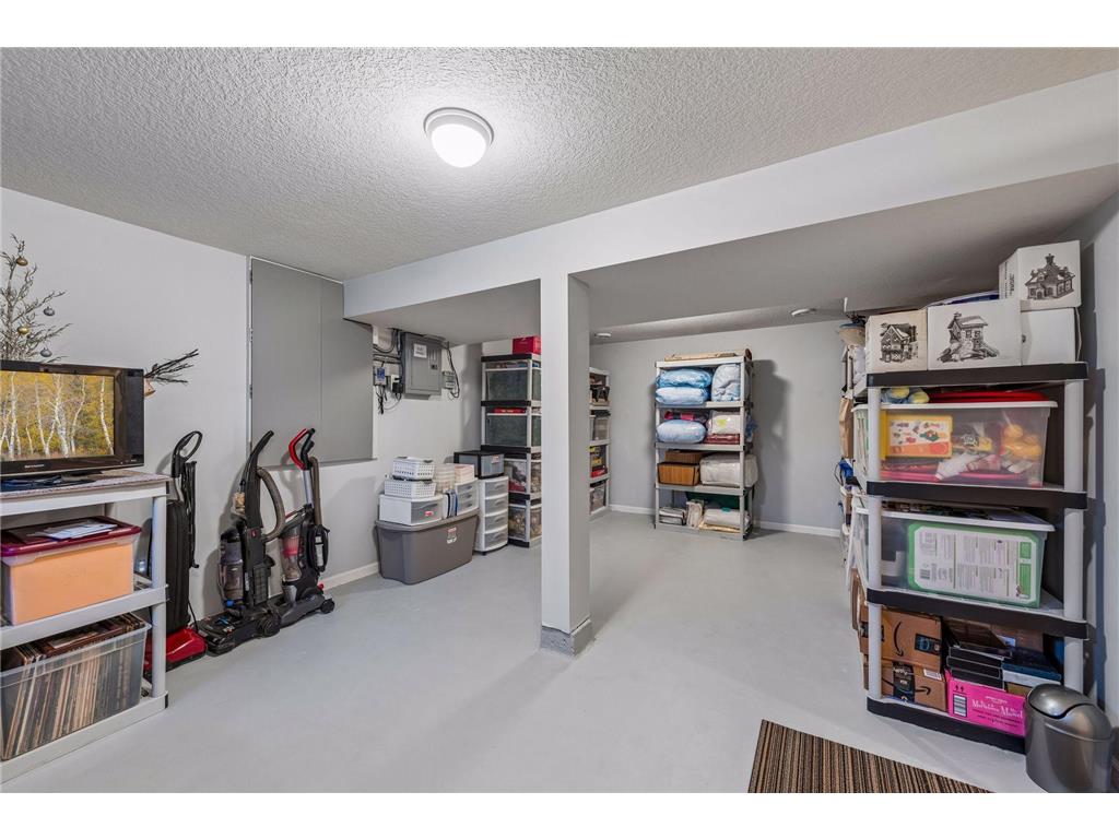 450 Willow Drive S Orono MN 55356 7039642 image56