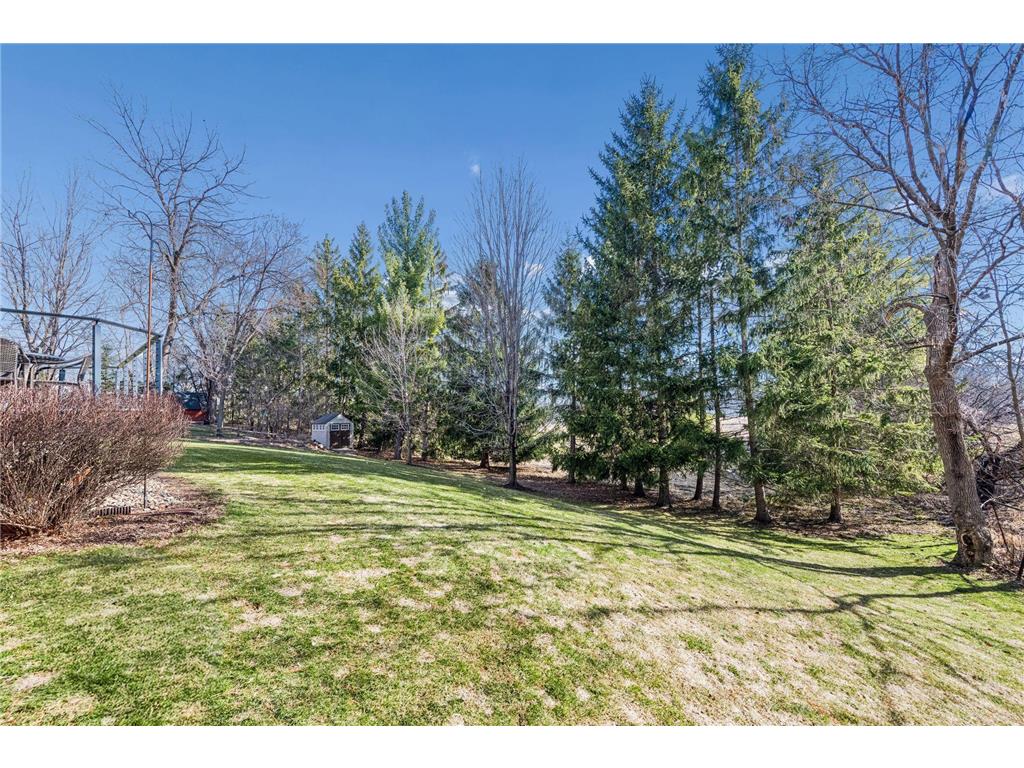 450 Willow Drive S Orono MN 55356 7039642 image61