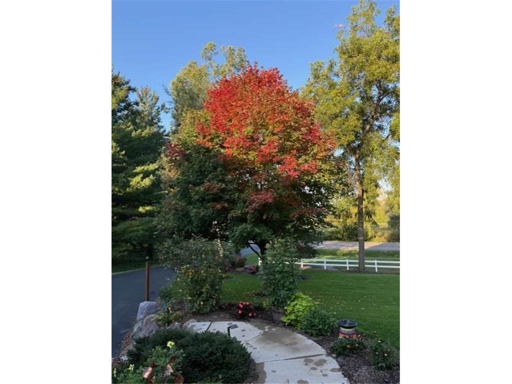 450 Willow Drive S Orono MN 55356 7039642 image71