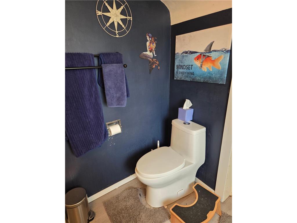 4501 Birchmont Drive NE Bemidji MN 56601 7052130 image22