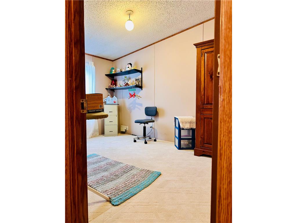 45021 County 3 Becida MN 56678 - Assawa 6771310 image21