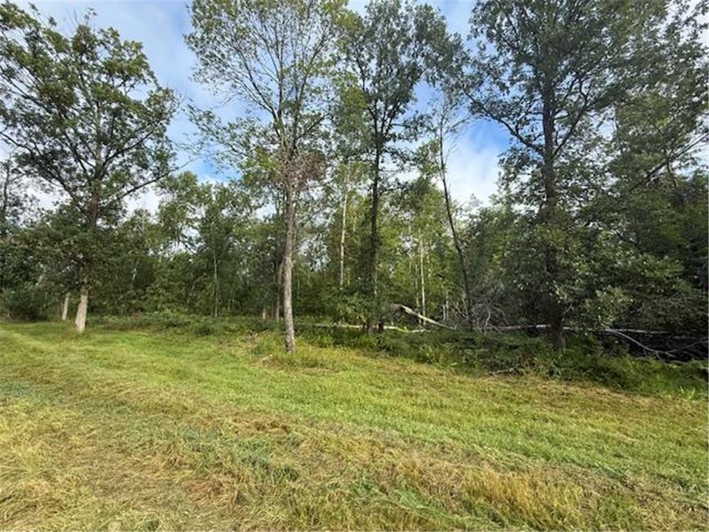 45021 County 3 Becida MN 56678 - Assawa 6771310 image41