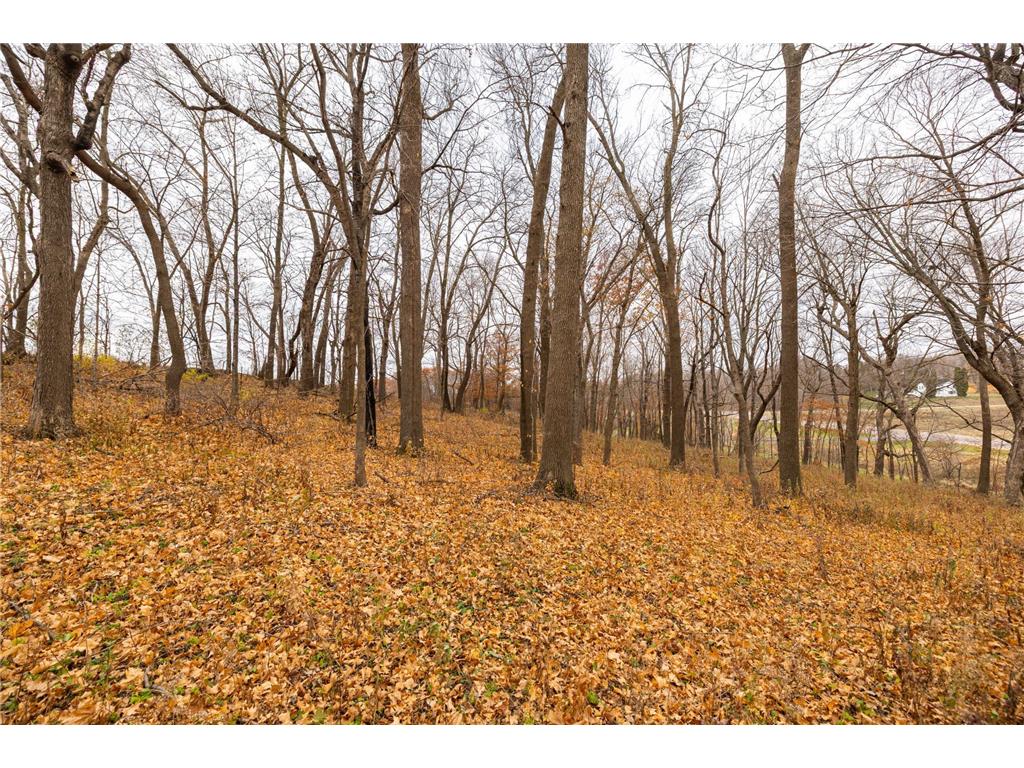 45044 151st Avenue Kilkenny Twp MN 56052 6817942 image16