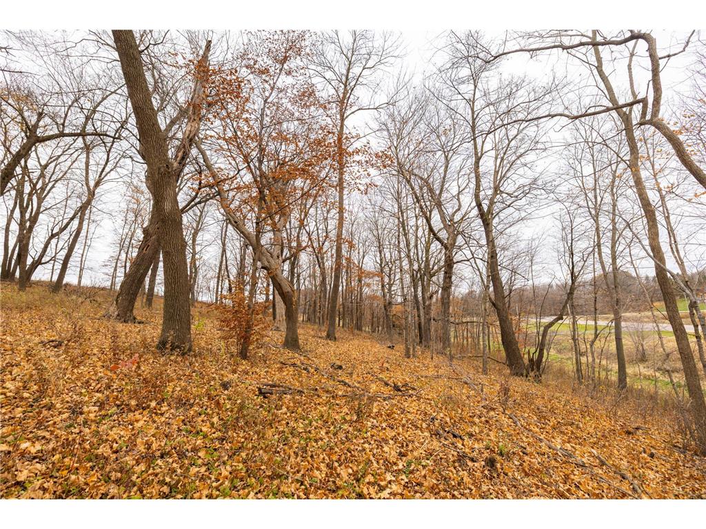 45044 151st Avenue Kilkenny Twp MN 56052 6817942 image19