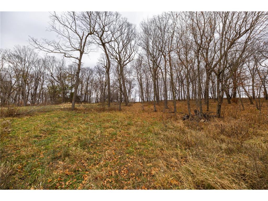 45044 151st Avenue Kilkenny Twp MN 56052 6817942 image26