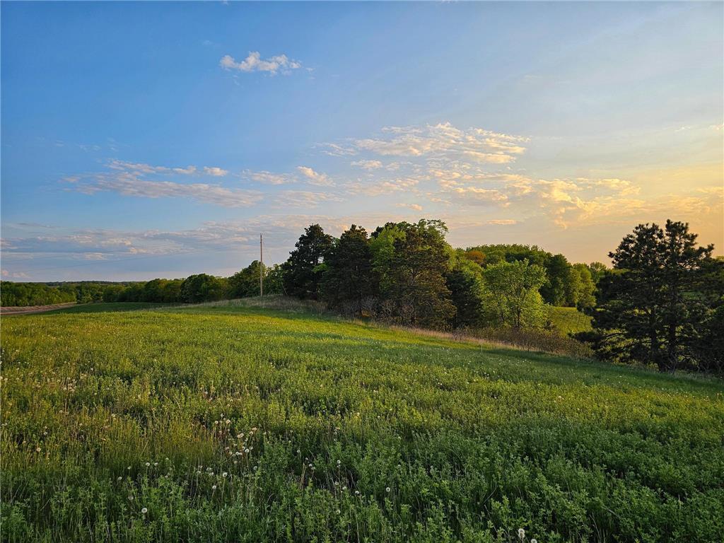 450XX 316th Ave [D] Vergas MN 56587 - East Loon 6700778 image11