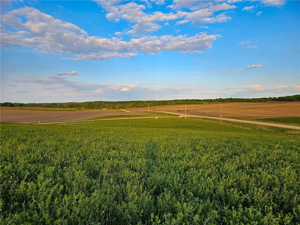 450XX 316th Ave [D] Vergas MN 56587 - East Loon 6700778 image9