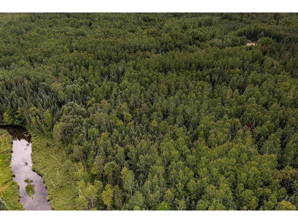 45161 County Road 35 Deer River MN 56636 7094087 image33