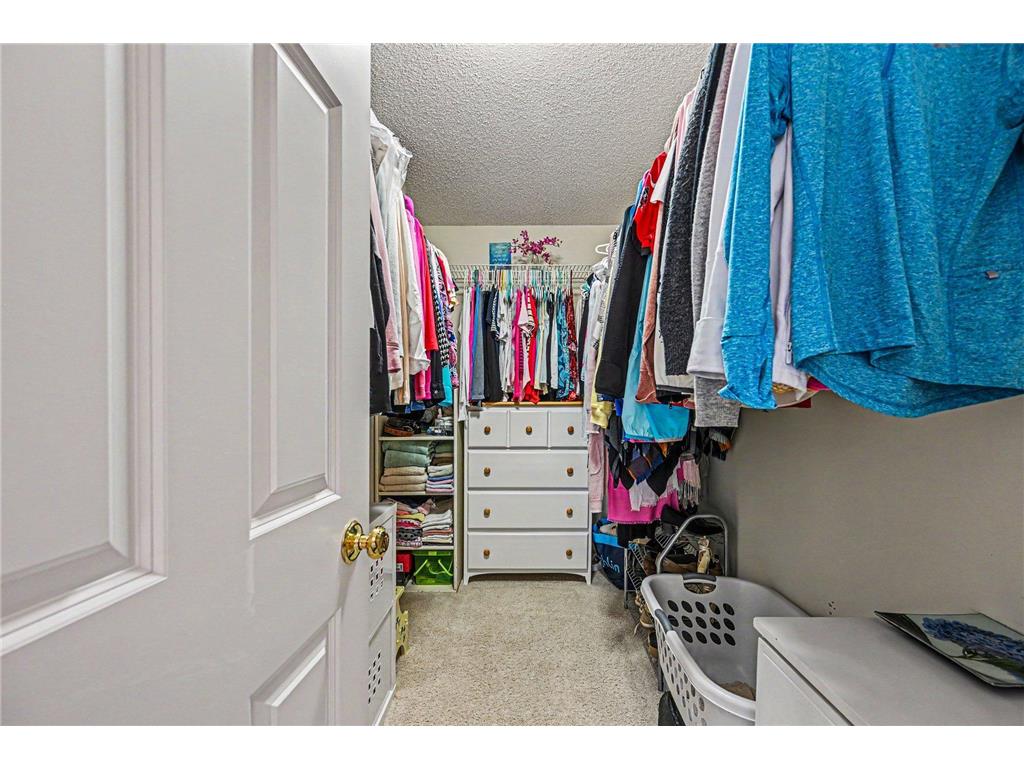 4517 Alicia Drive Eagan MN 55077 7063650 image21