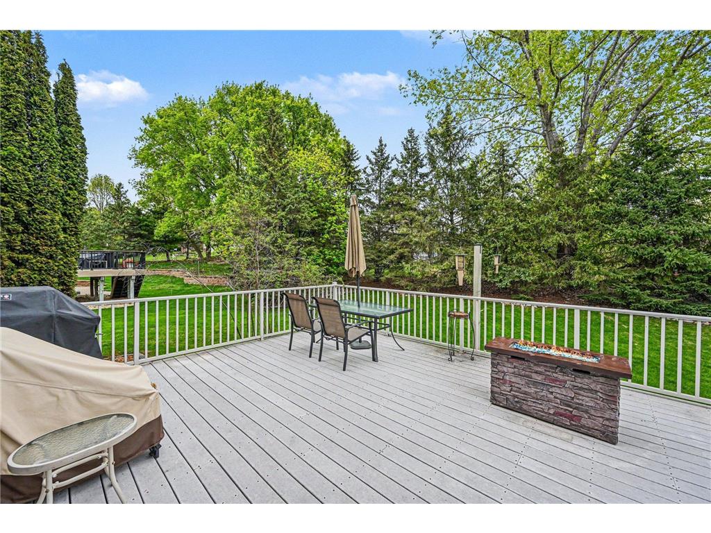 4517 Alicia Drive Eagan MN 55077 7063650 image33