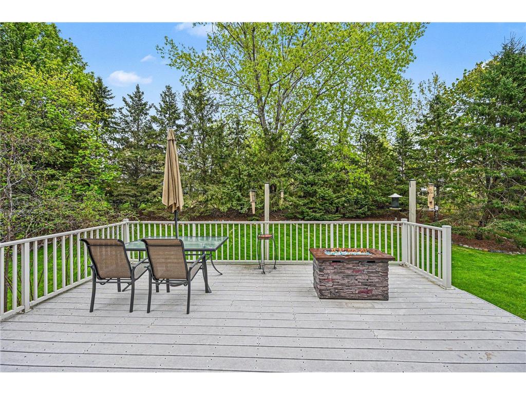 4517 Alicia Drive Eagan MN 55077 7063650 image34