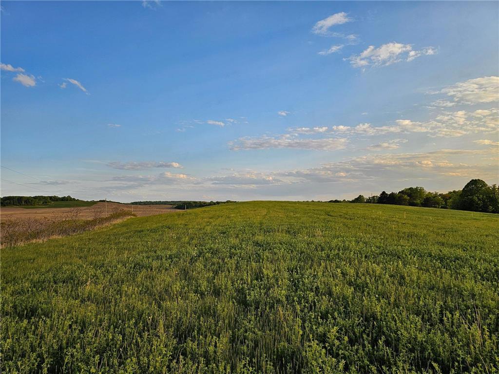 451XX 316th Ave [C] Vergas MN 56587 - East Loon 6700777 image10