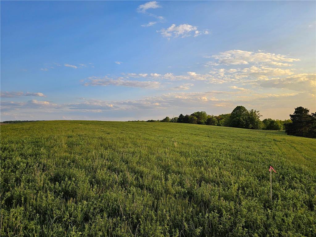 451XX 316th Ave [C] Vergas MN 56587 - East Loon 6700777 image12