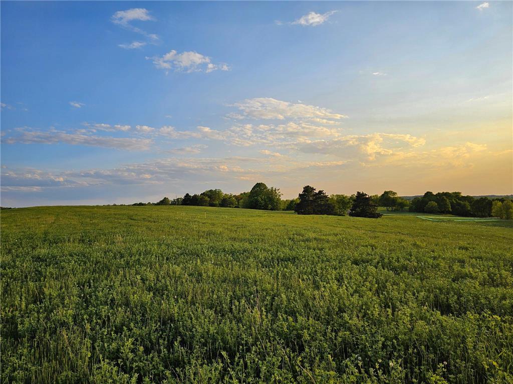 451XX 316th Ave [C] Vergas MN 56587 - East Loon 6700777 image9