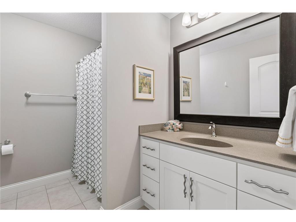 4520 Zircon Lane N Plymouth MN 55446 7086975 image24