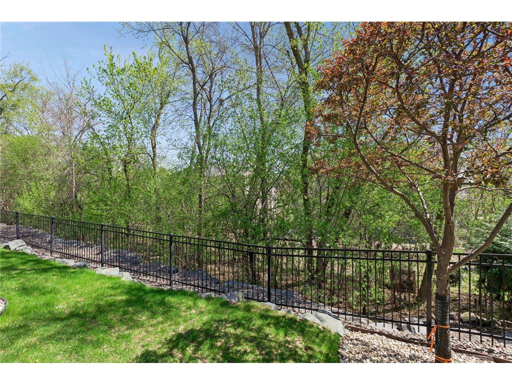 4520 Zircon Lane N Plymouth MN 55446 7086975 image26