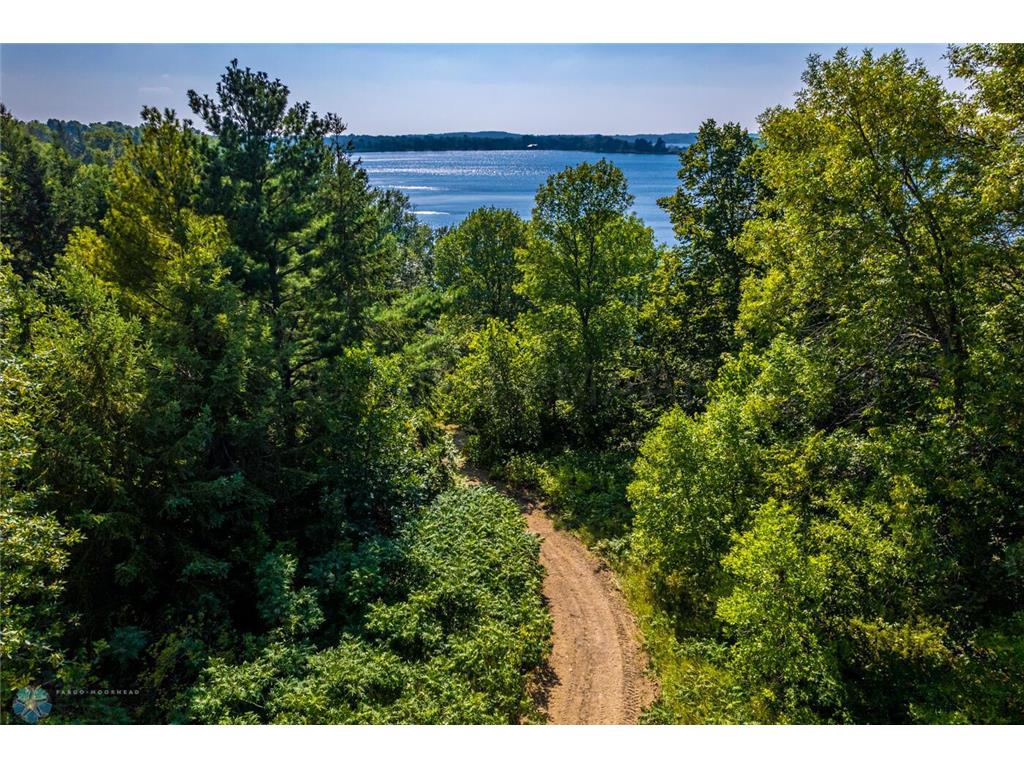 45227 316TH Avenue Vergas MN 56587 - East Loon 7425691 image4