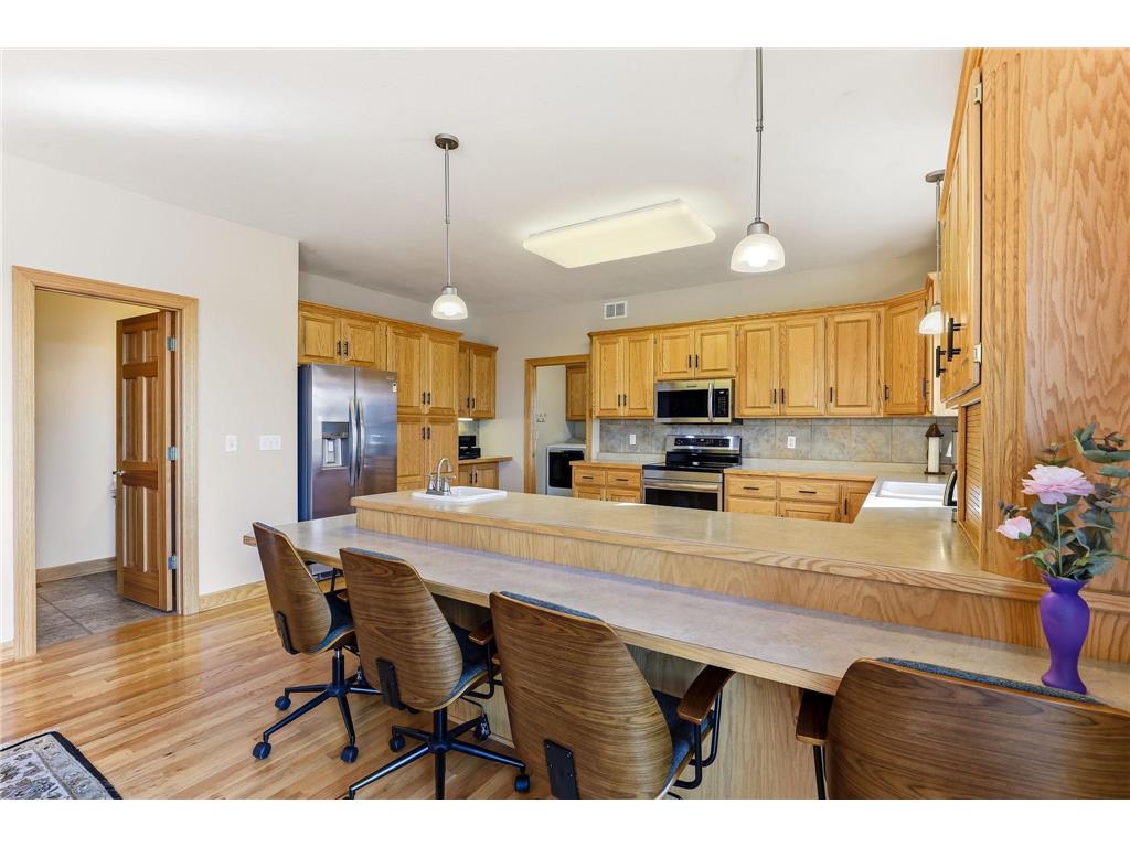 4525 Alicia Drive Eagan MN 55077 - Fish 7033526 image15