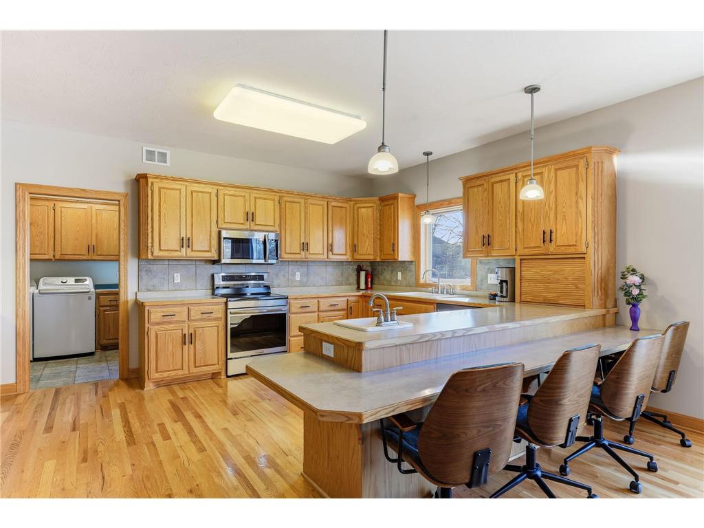 4525 Alicia Drive Eagan MN 55077 - Fish 7033526 image16