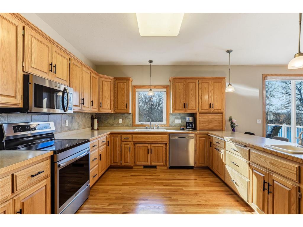 4525 Alicia Drive Eagan MN 55077 - Fish 7033526 image17