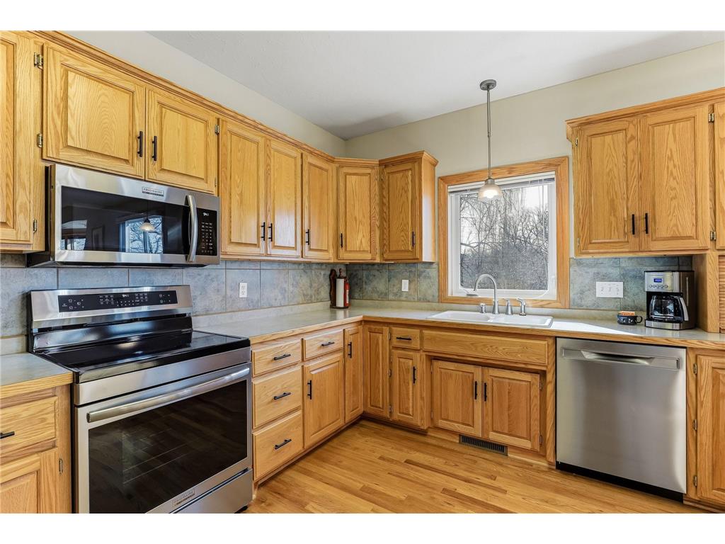 4525 Alicia Drive Eagan MN 55077 - Fish 7033526 image18