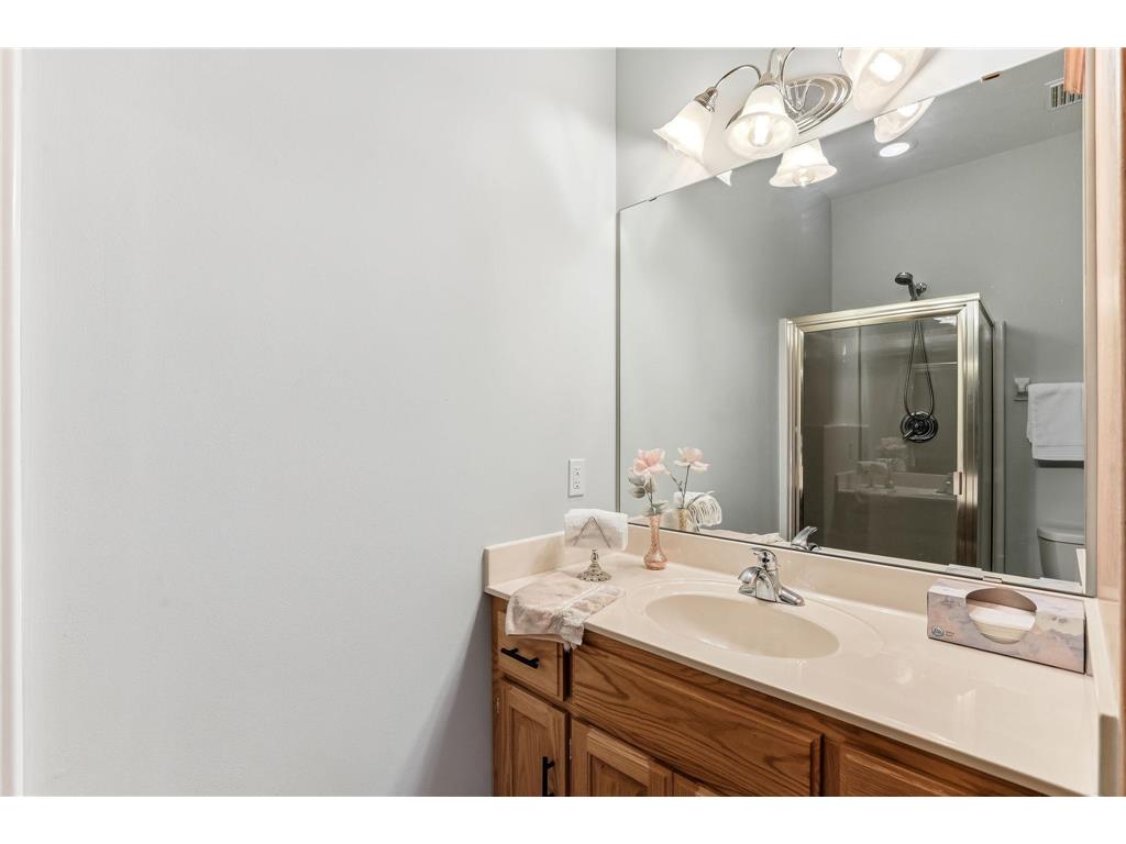 4525 Alicia Drive Eagan MN 55077 - Fish 7033526 image21