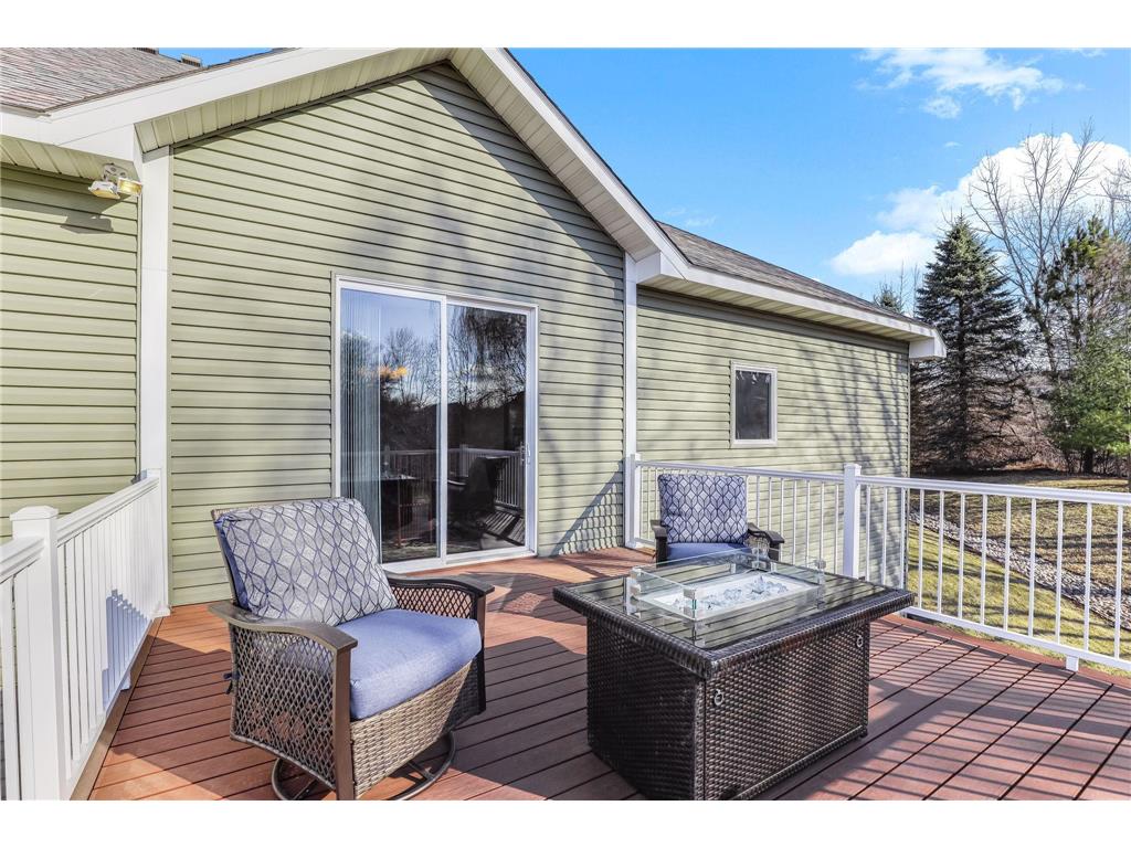 4525 Alicia Drive Eagan MN 55077 - Fish 7033526 image29