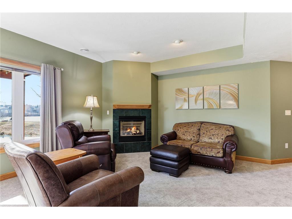 4525 Alicia Drive Eagan MN 55077 - Fish 7033526 image43
