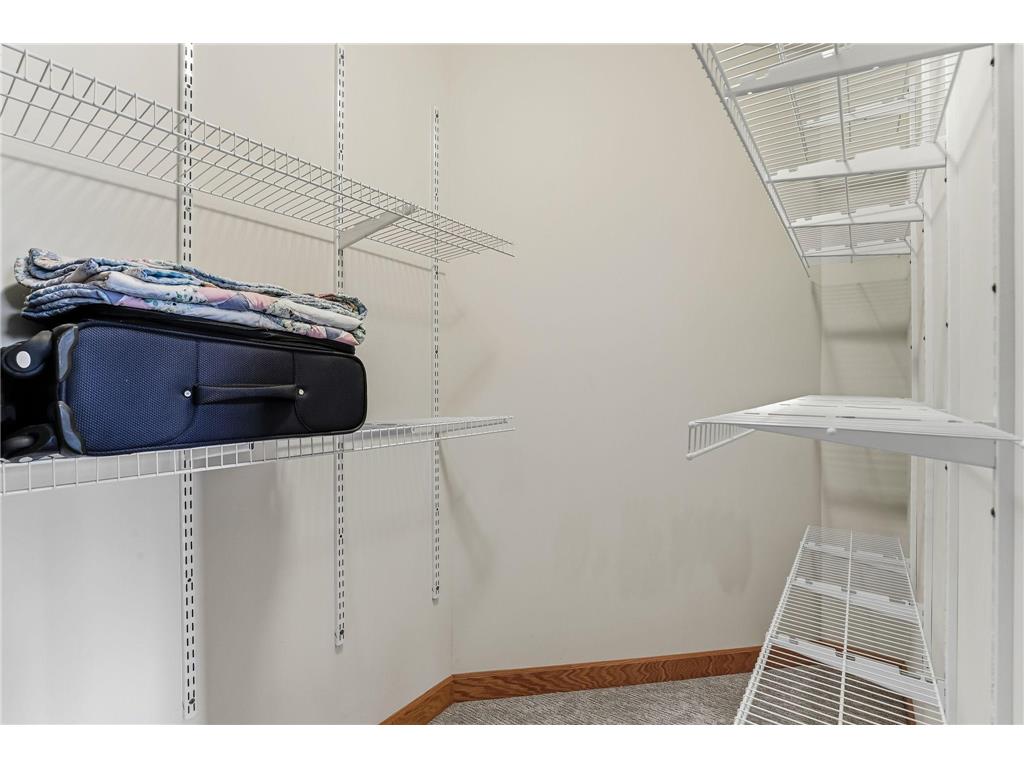 4525 Alicia Drive Eagan MN 55077 - Fish 7033526 image52