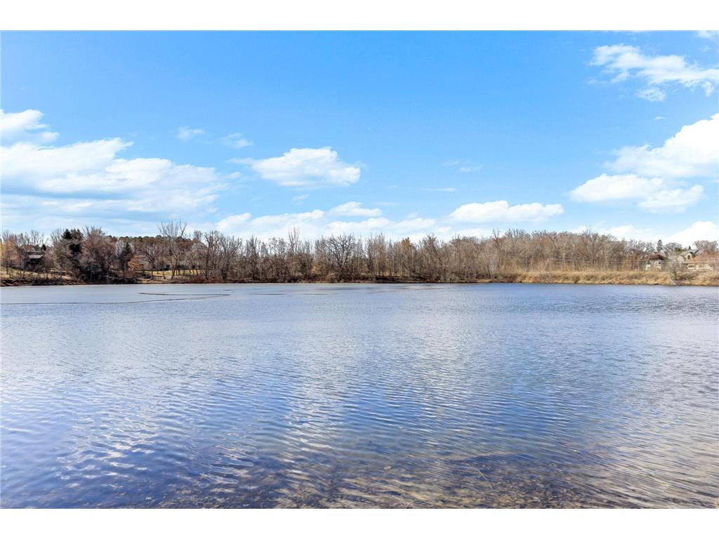 4525 Alicia Drive Eagan MN 55077 - Fish 7033526 image74