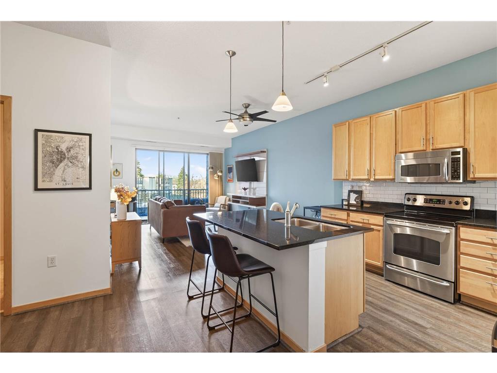 4525 Park Commons Drive #217 Saint Louis Park MN 55416 7037993 image1