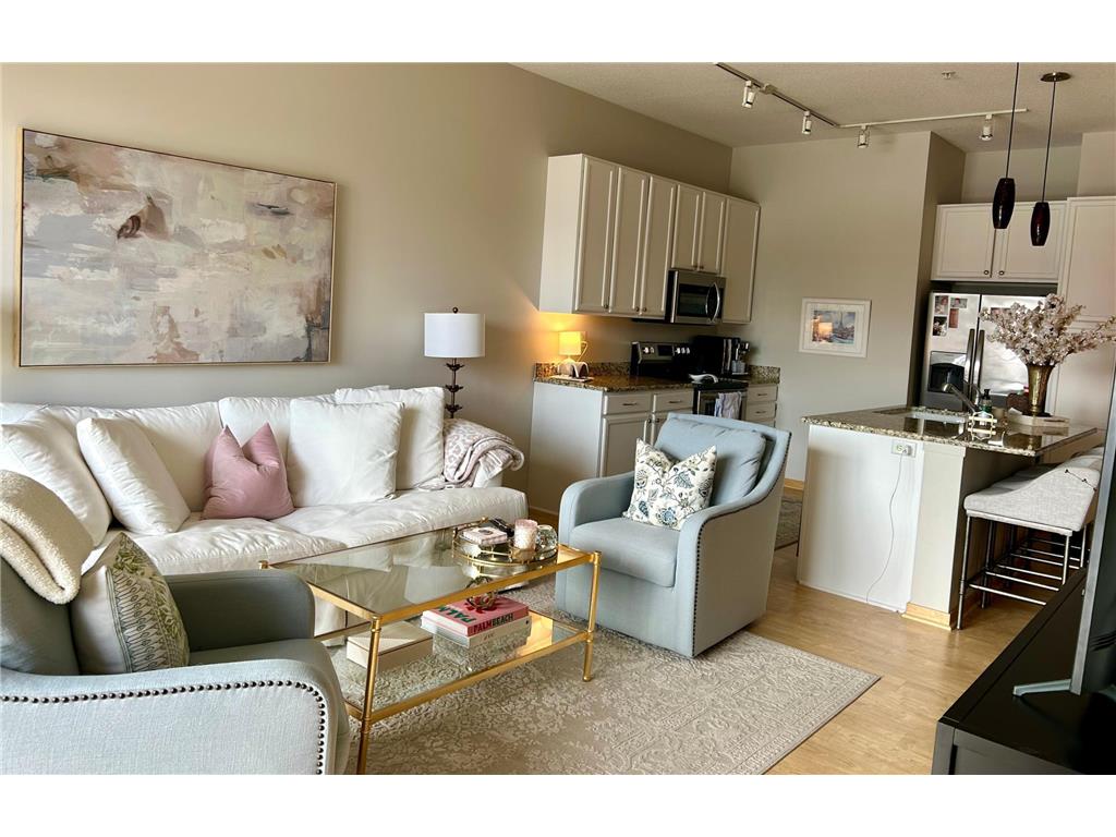 4525 Park Commons Drive #314 Saint Louis Park MN 55416 6493416 image1