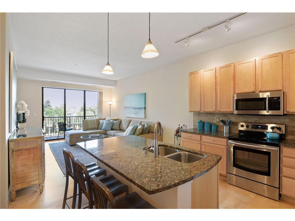 4525 Park Commons Drive #317 Saint Louis Park MN 55416 7039345 image1