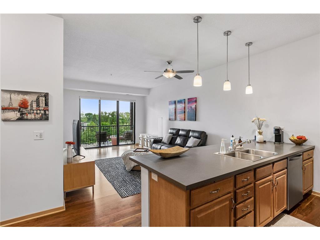4525 Park Commons Drive #319 Saint Louis Park MN 55416 7086066 image4