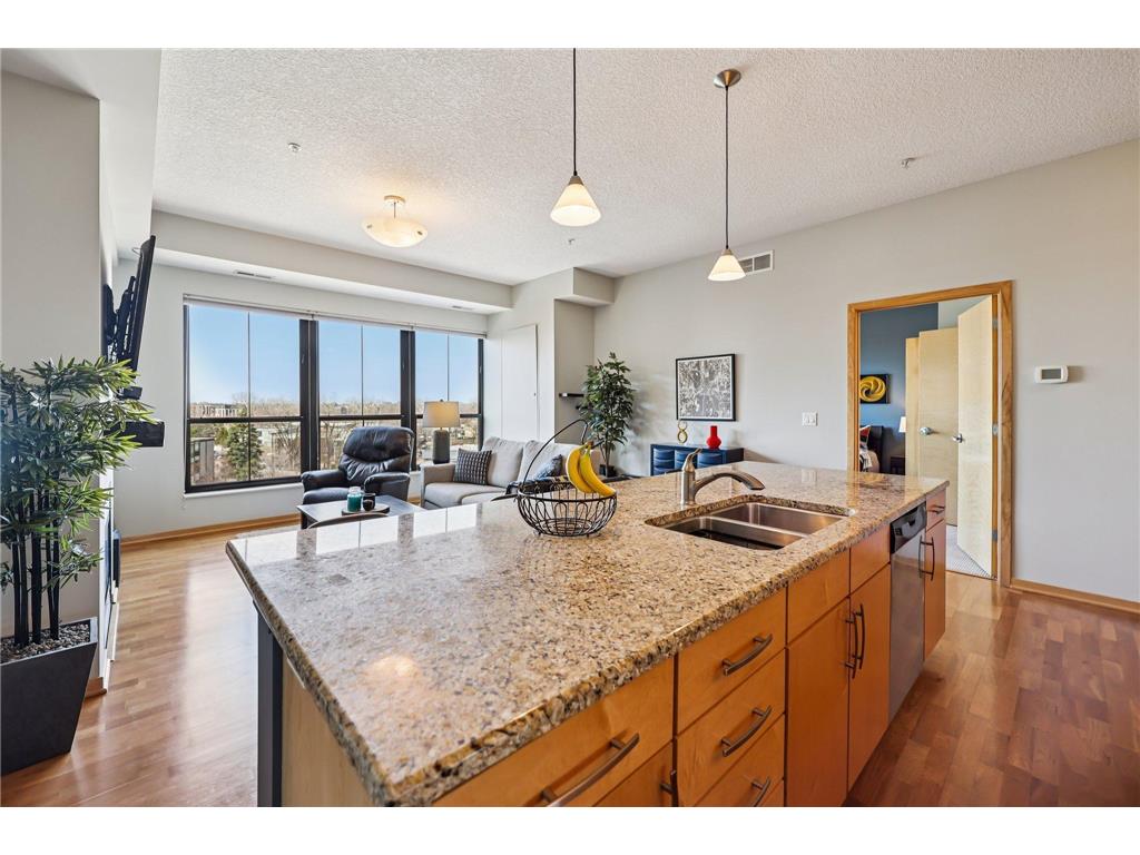 4525 Park Commons Drive #421 Saint Louis Park MN 55416 7046885 image8