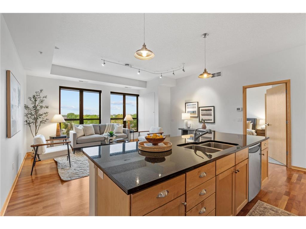 4525 Park Commons Drive #521 Saint Louis Park MN 55416 7071461 image12