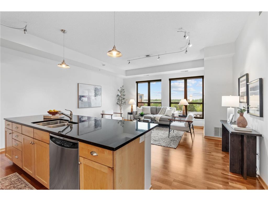 4525 Park Commons Drive #521 Saint Louis Park MN 55416 7071461 image15