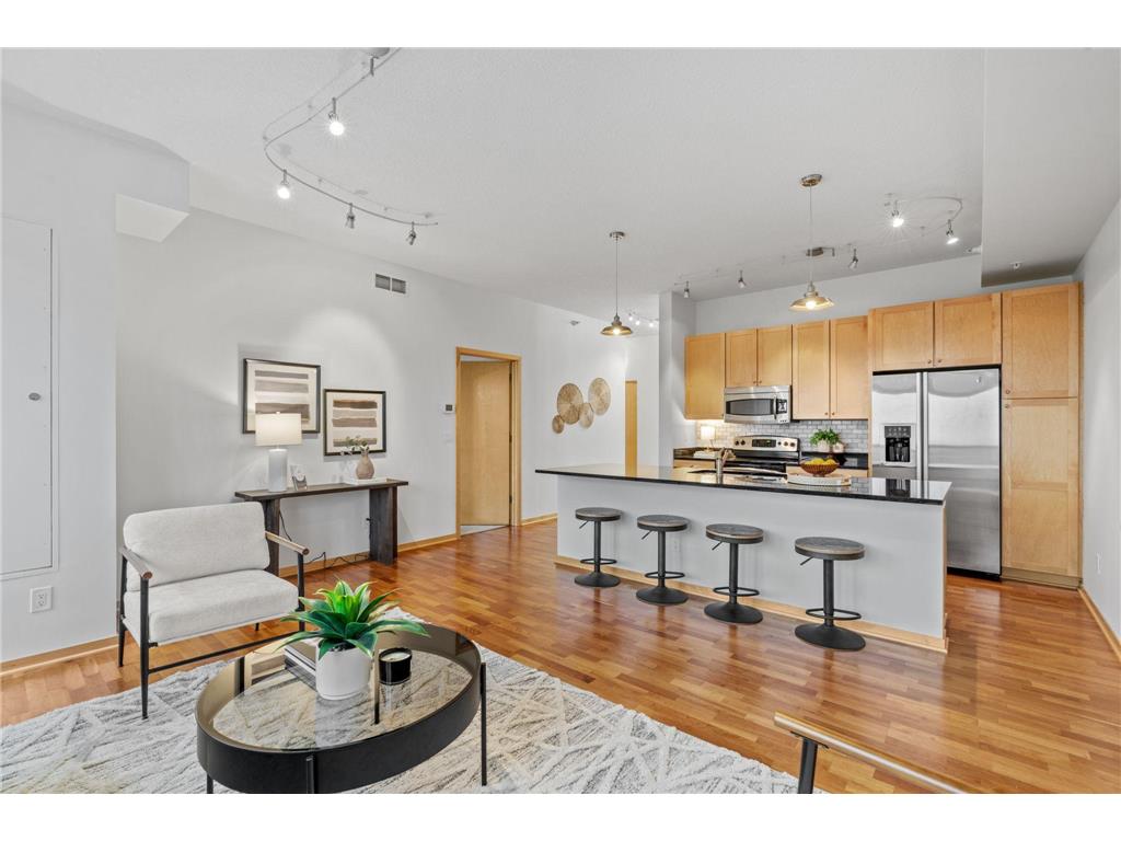 4525 Park Commons Drive #521 Saint Louis Park MN 55416 7071461 image17