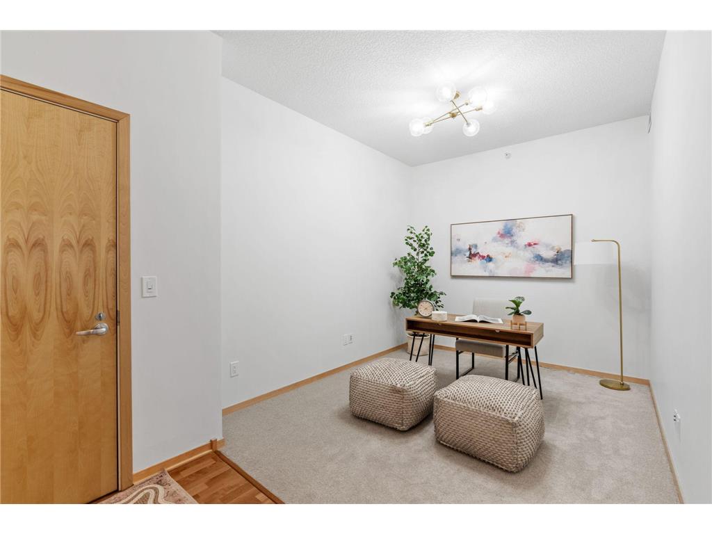 4525 Park Commons Drive #521 Saint Louis Park MN 55416 7071461 image8