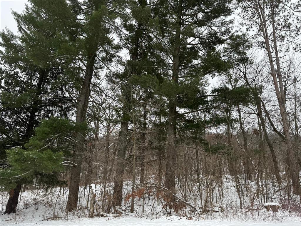 453 Spring Creek Road S Red Wing MN 55066 6825675 image8