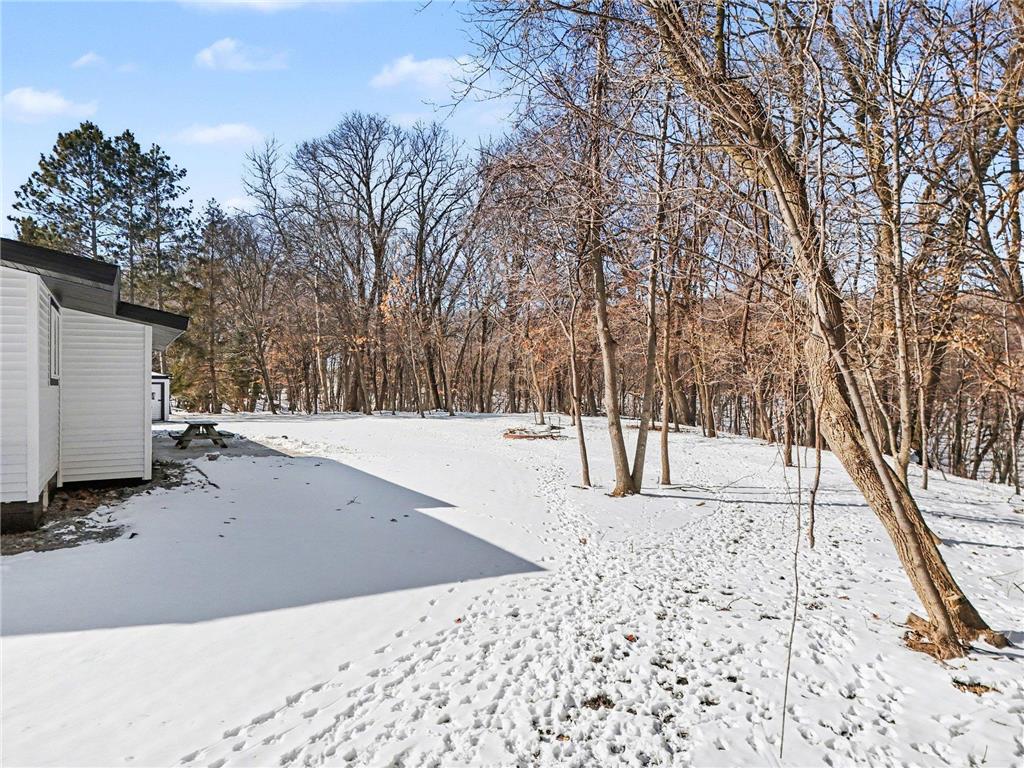 454 Country View Lane Tyrone Twp MN 56058 7027139 image25