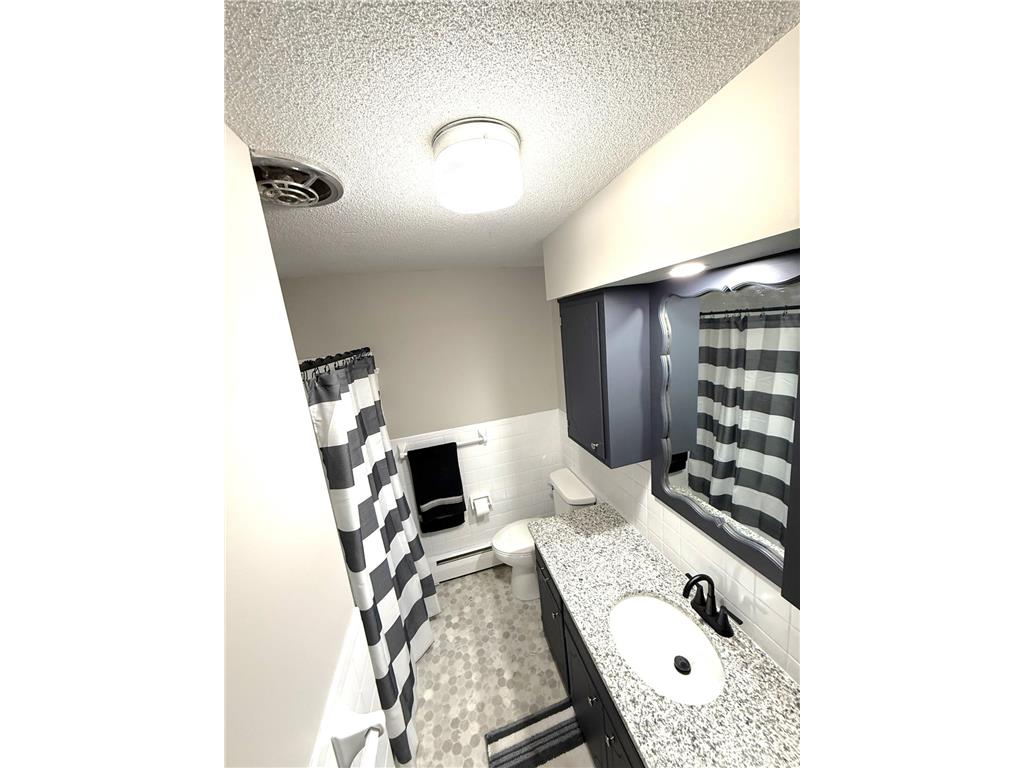 455 3rd Street SE Cokato MN 55321 7059094 image33