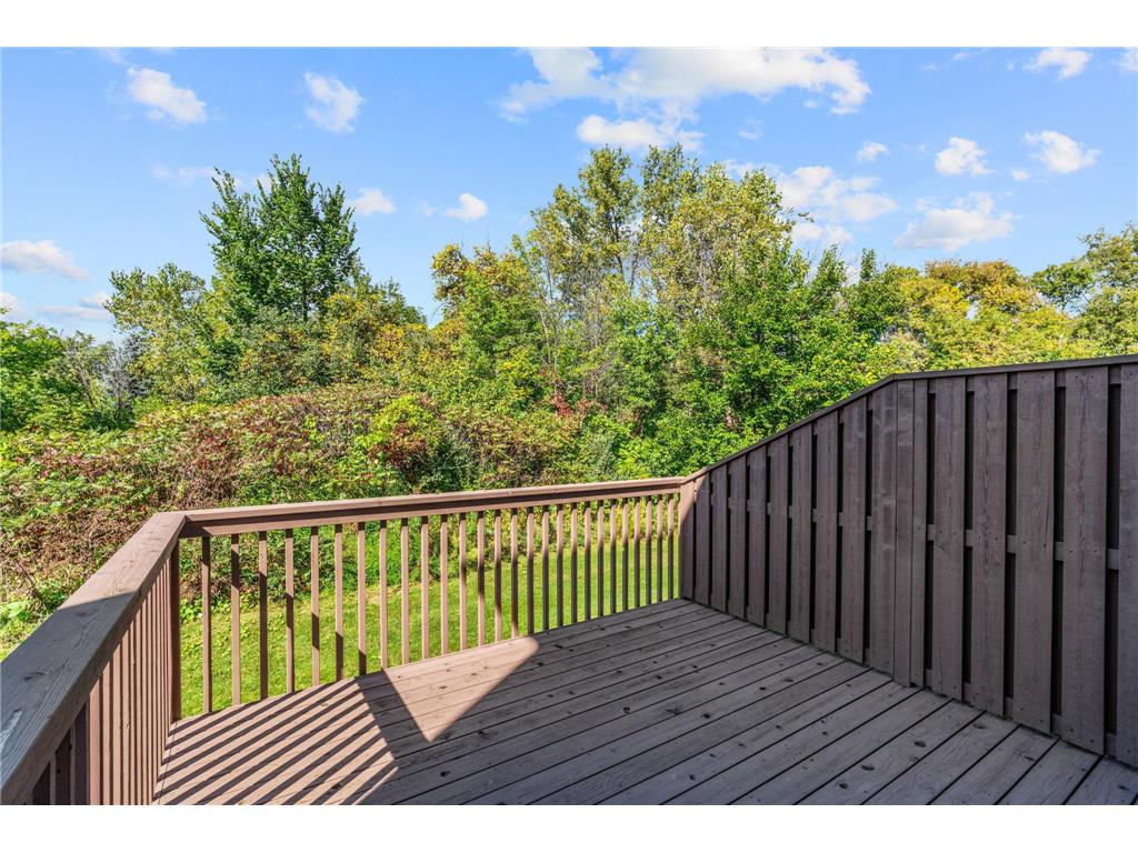 4552 Blaylock Way Inver Grove Heights MN 55076 6793492 image53