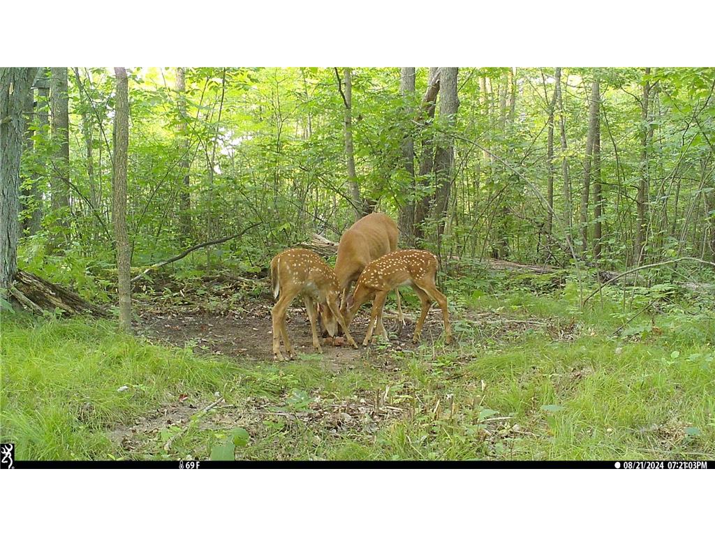 45527/45609 Fox Road Hinckley Twp MN 55037 7068212 image1